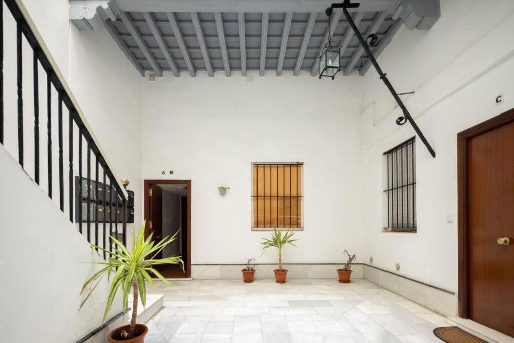 Papallona Cadiz Apartment Grupo Ac Gestion エクステリア 写真